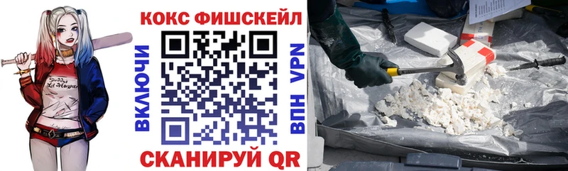 COCAIN Fish Scale  Талица 